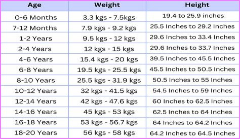 Justin Kramer Wiki Facts: Essential Details About His Wife, Kids, Age, Height, Net worth, Sister, And Birthday